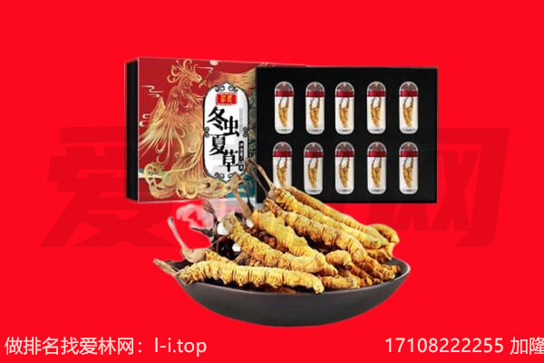 金凤区回收虫草.jpg